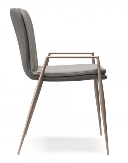 Seriema - Image 2