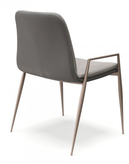 Seriema - Image 3