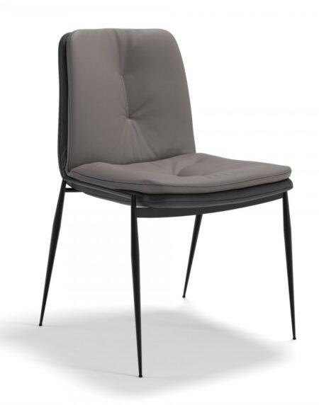 Seriema - Image 4