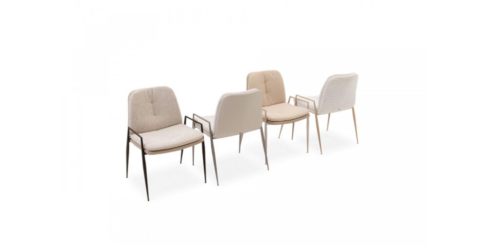 Seriema - Image 5