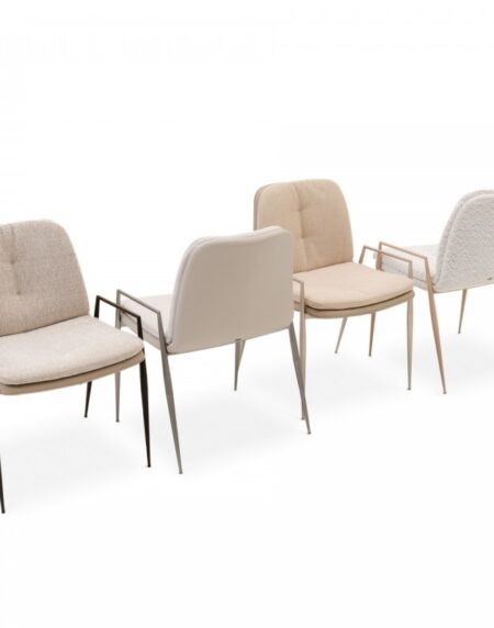 Seriema - Image 5