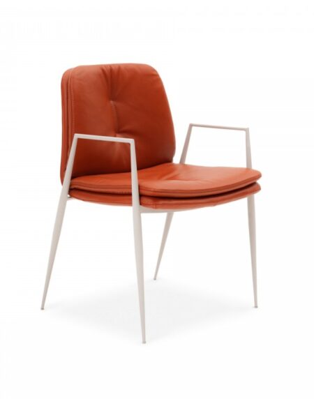 Seriema - Image 6