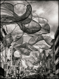 Arte por Dorival Moreira